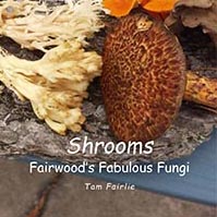 Shrooms Button